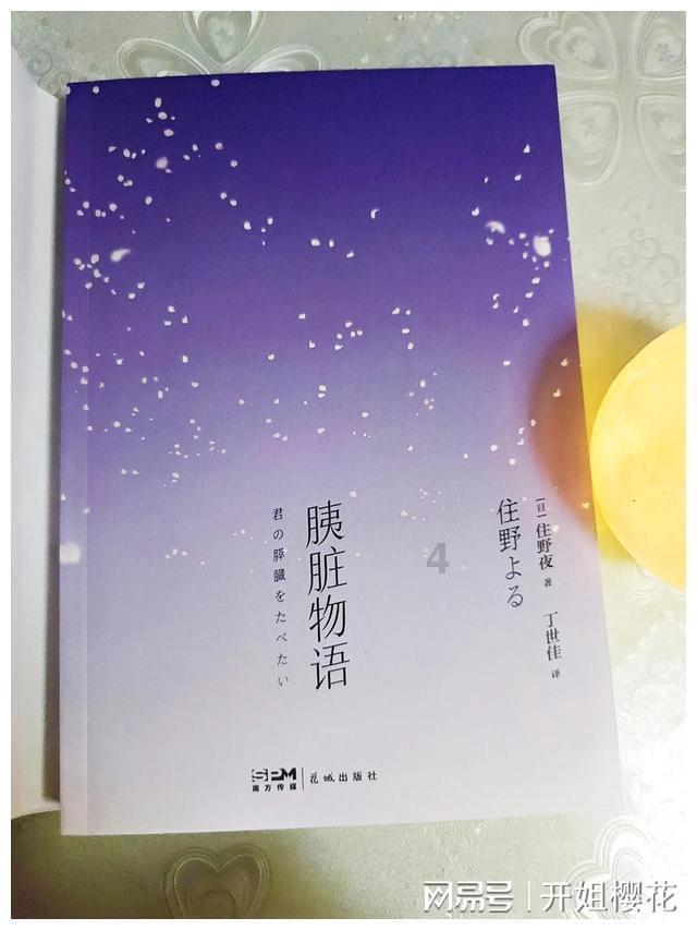 呆萌动物园